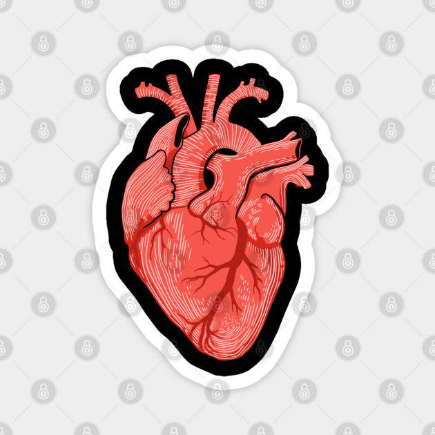 012item#) Anatomical Heart Sticker (medical, Doctor, Nurse, awesome) (4  sizes)