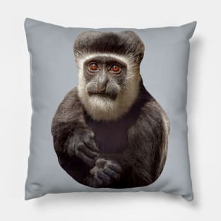 The wonderful eyes of a Colobus monkey Pillow