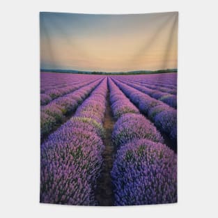 blooming lavender field Tapestry