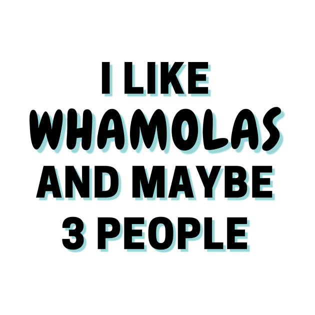 I Like Whamolas And Maybe 3 People by Word Minimalism