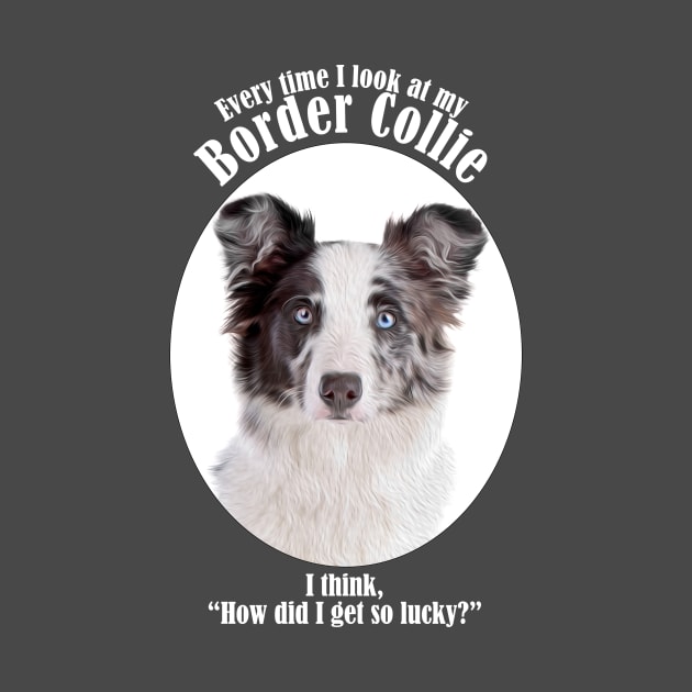 Lucky Border Collie by You Had Me At Woof