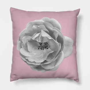 Roses are (greyscale) Pillow