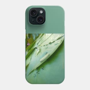 Caterpillar on Waterlily V2 Phone Case