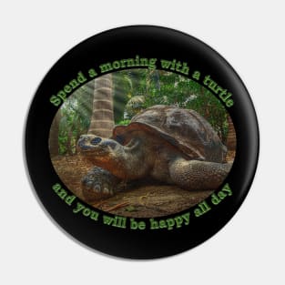 Spend a morning with a turtle and you will be happy all day Pin