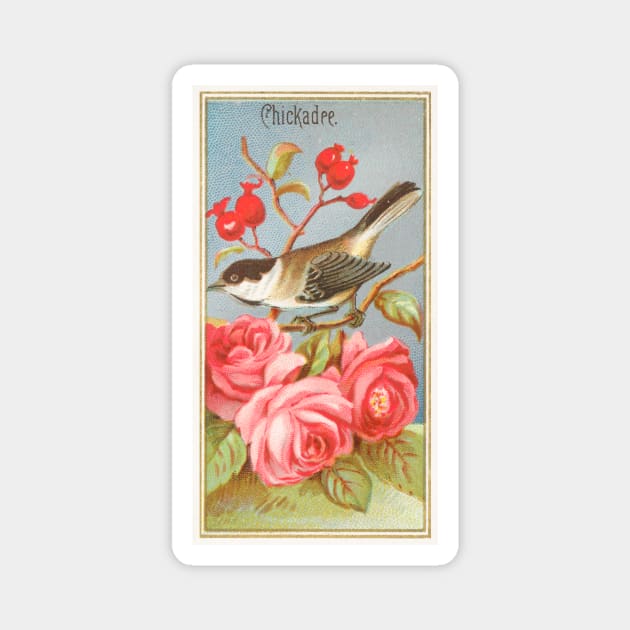 Chickadee Magnet by WAITE-SMITH VINTAGE ART