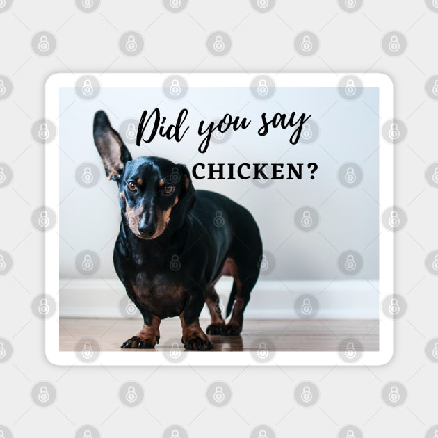 Dachshund looking for Chicken Magnet by Jas-Kei Designs