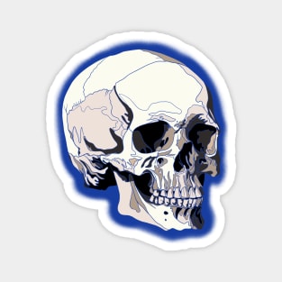 Skull design with blue lines and background Magnet