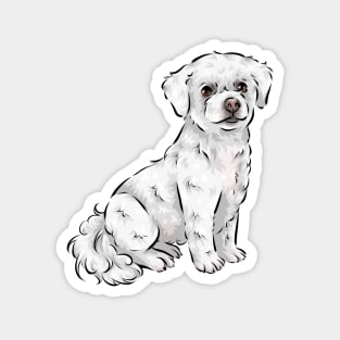 Cute Bichon Frise Dog Magnet