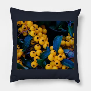 Yellow fruits Pillow