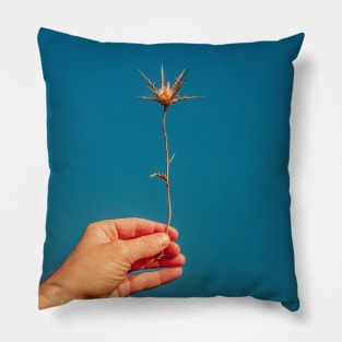 hand holding thistle Pillow