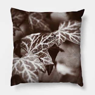 ‘White Lines’ - wild Ivy in sepia tones Pillow