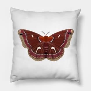 Ceanothus Silkmoth Pillow