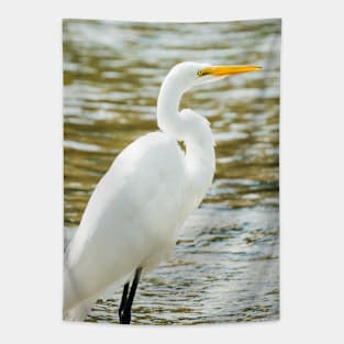 Egret in a Stream Photograph Tapestry