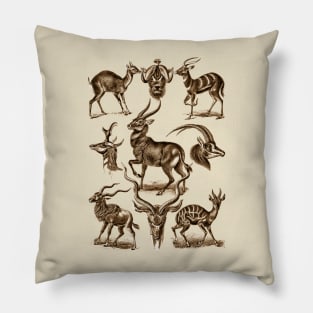 Ernst Haeckel Antilopina Antelope Pillow