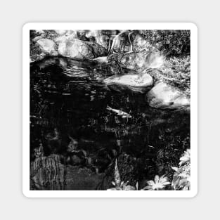 Reflecting Pond (Black & White) Magnet