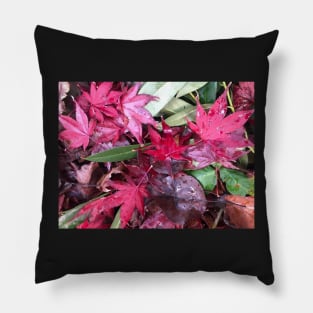 Rainy Red and Green Christmas Leaves on the Forest Floor Pillow