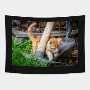 Cute Cat Tapestry