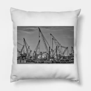 Cranes B+W Pillow