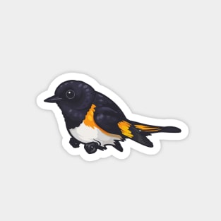 American Redstart Magnet