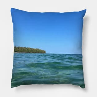 In the waters of Lake Michigan Pillow