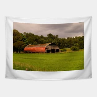 ibs field and barn Tapestry