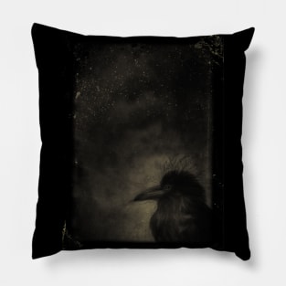 Raven Night Sky Pillow