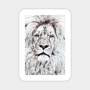 black and white lion/simba art Magnet