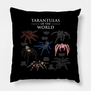 Tarantulas Of The World Pillow