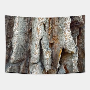 Wood, pattern, tree, nature Tapestry