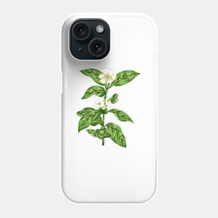 Green Coffe  Botanical Phone Case
