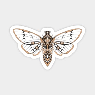 CICADA Magnet