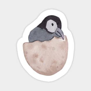 Baby Penguin Hatchling Magnet