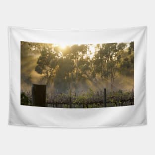 Sunrise 2 - Magpie Springs - Adelaide Hills - Fleurieu Peninsula - Australia Tapestry