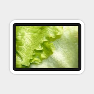 Lettuce leaf oil painting effect Magnet