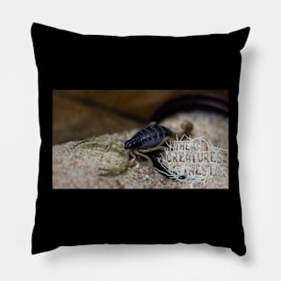 H gentilli Pillow