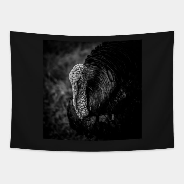 Monochrome Turkey Tapestry by axp7884