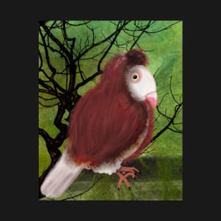 Capuchin Pigeon T-Shirt