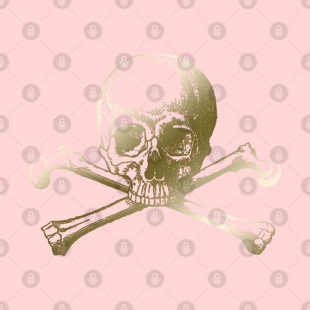 Skull and crossbones by Blacklinesw9