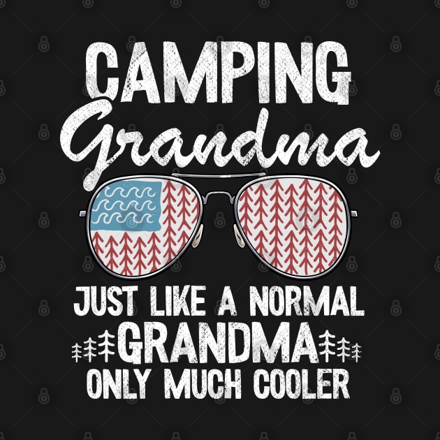 Camping Grandma Just Like A Normal Grandpa Only Much Cooler Funny Camping by Kuehni