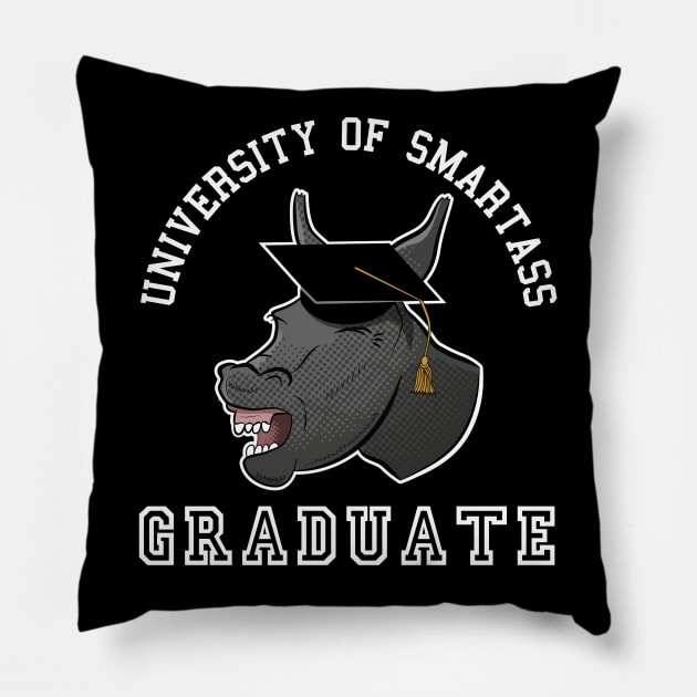 College Graduate Smartass Gift For Graduate Pillow by atomguy
