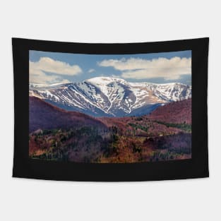 Mountains landscape Tapestry