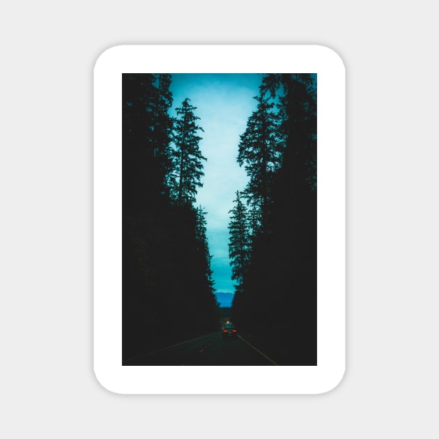 Moody Blue Hour Forest Drive Magnet by Robtography