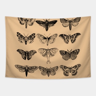 Moths Illustration Tapestry