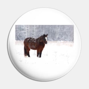 Brown on White - Horse Pin