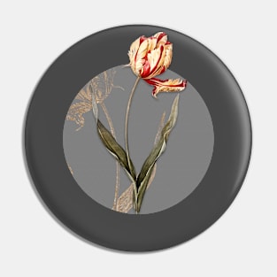 Vintage Didier's Tulip Botanical Illustration on Circle Pin