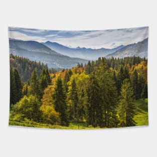 SCENERY 87 - Mountainous Landform Forest Nature Ecosystem Tapestry