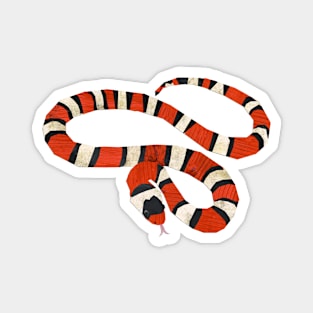 Milksnake Magnet