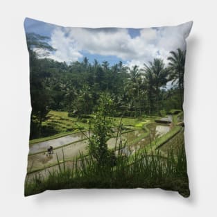 Balinese rice field Pillow