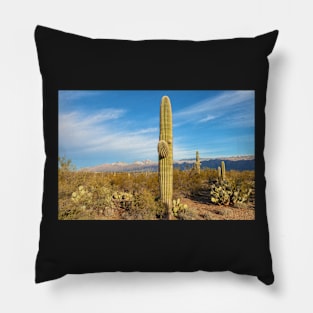 Saguaro Cacti Pillow