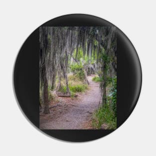 Hiking Trail in Santa Ana NWR Pin